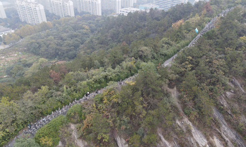 图片5_副本.png