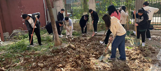 翻新草坪焕新校园 劳育树人浸润心田