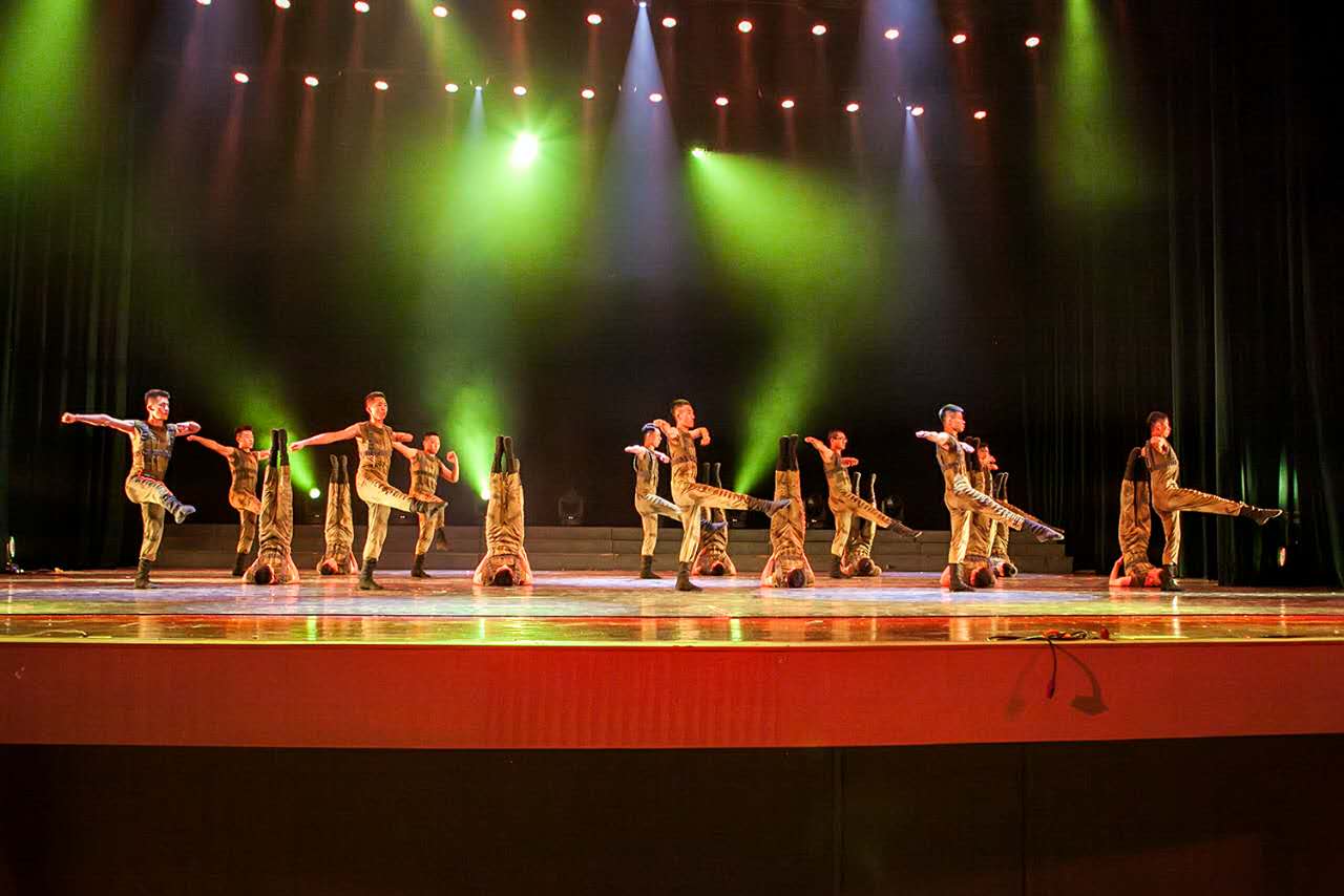 图三 我院学生表演惊艳全场.jpg