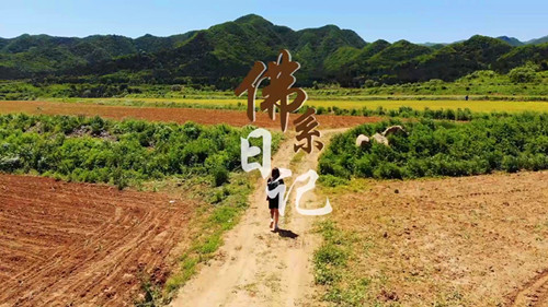 杨立生老师和王子烜老师指导杨思玉同学的作品《佛系日记》获得大赛铜奖_副本.jpg